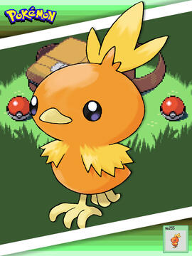Torchic