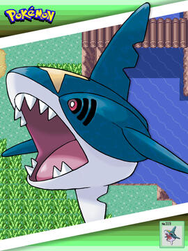 Sharpedo
